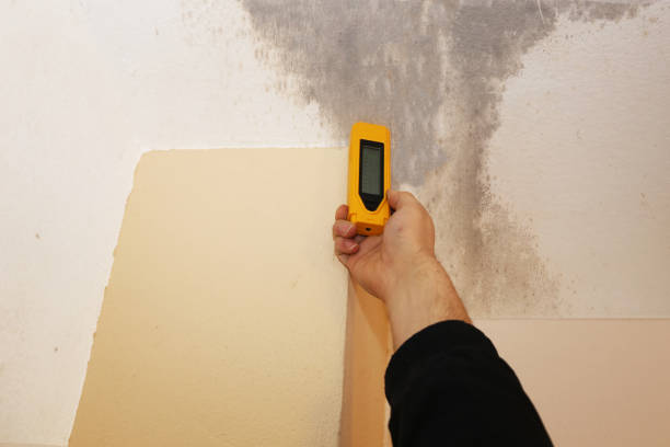Best Airborne Mold Testing  in Bethany, OR