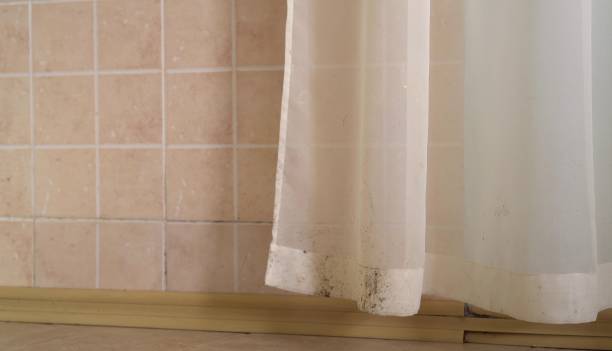 Forensic Mold Investigation in Bethany, OR