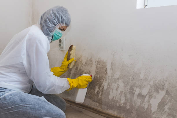 Best Forensic Mold Investigation  in Bethany, OR