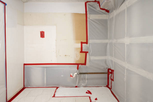 Best Mold Odor Removal Services  in Bethany, OR
