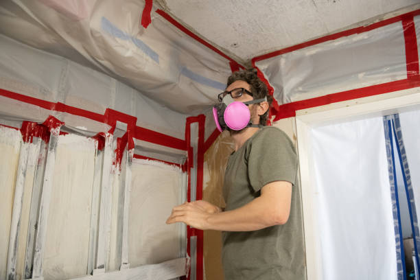 Best Basement Mold Removal  in Bethany, OR