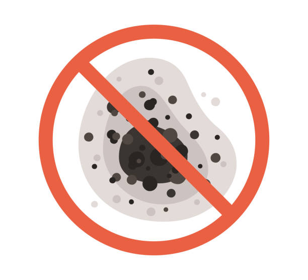 Best Environmental Consulting for Mold Prevention  in Bethany, OR