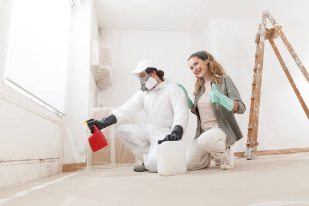 Best Mold Removal for HVAC Installations  in Bethany, OR