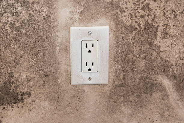 Best Real Estate Mold Inspection  in Bethany, OR